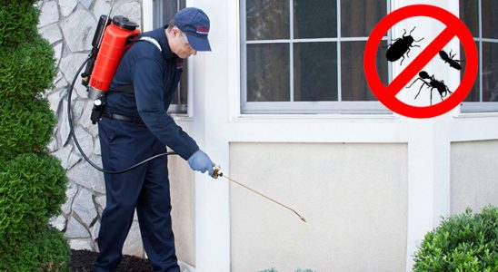 Bala Gümüşkurt İlaçlama böcek ilaçlama ve haşere kontrolü — ilaclama-tr.com